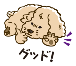 PIGPONG's Toy Poodle Hanako sticker #11882784