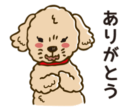 PIGPONG's Toy Poodle Hanako sticker #11882787