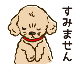 PIGPONG's Toy Poodle Hanako sticker #11882788
