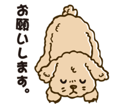 PIGPONG's Toy Poodle Hanako sticker #11882789