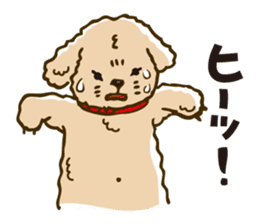 PIGPONG's Toy Poodle Hanako sticker #11882794