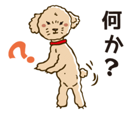 PIGPONG's Toy Poodle Hanako sticker #11882796