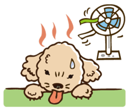PIGPONG's Toy Poodle Hanako sticker #11882806