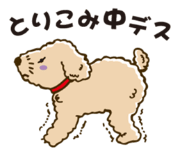 PIGPONG's Toy Poodle Hanako sticker #11882809