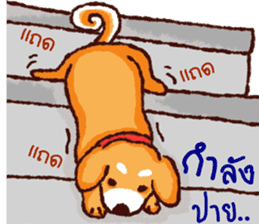 The funny dog sticker #11882846