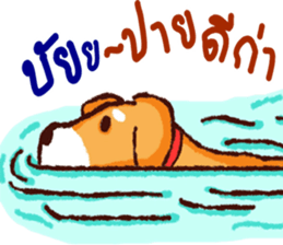 The funny dog sticker #11882852