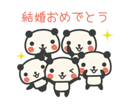 Congratulations panda animation sticker #11883644