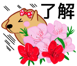Kyapibara women's flower sticker #11884944
