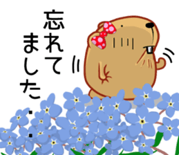 Kyapibara women's flower sticker #11884949