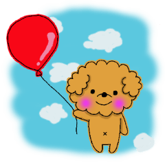 My toy poodle RAMUchan
