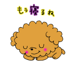 My toy poodle RAMUchan sticker #11886115