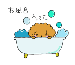 My toy poodle RAMUchan sticker #11886119