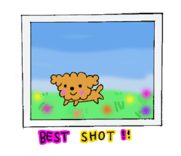 My toy poodle RAMUchan sticker #11886122