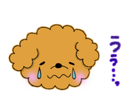 My toy poodle RAMUchan sticker #11886131