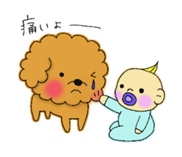 My toy poodle RAMUchan sticker #11886134