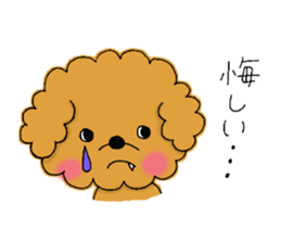My toy poodle RAMUchan sticker #11886136