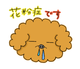 My toy poodle RAMUchan sticker #11886144