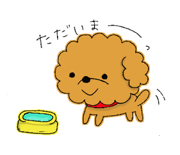 My toy poodle RAMUchan sticker #11886148