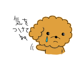 My toy poodle RAMUchan sticker #11886149