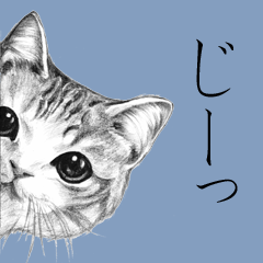 Realistic pencil drawing