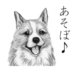 Realistic pencil drawing sticker #11886711