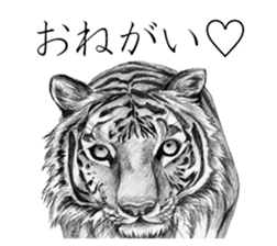 Realistic pencil drawing sticker #11886712