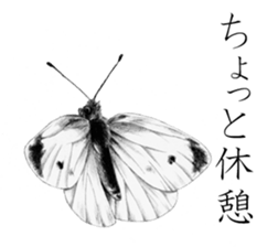 Realistic pencil drawing sticker #11886723