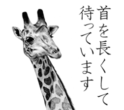 Realistic pencil drawing sticker #11886731