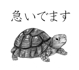 Realistic pencil drawing sticker #11886732