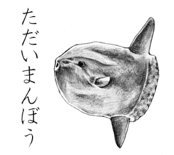 Realistic pencil drawing sticker #11886738