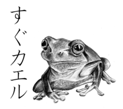 Realistic pencil drawing sticker #11886742