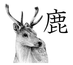 Realistic pencil drawing sticker #11886745