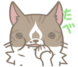 Shih Chien Big Cat sticker #11891506