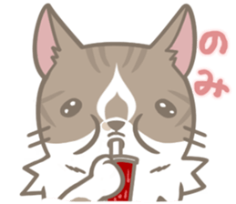 Shih Chien Big Cat sticker #11891507