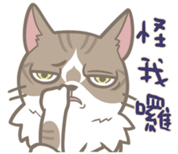 Shih Chien Big Cat sticker #11891516