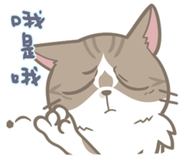 Shih Chien Big Cat sticker #11891517