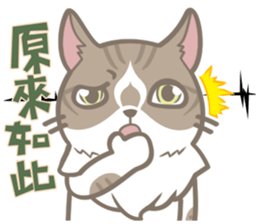 Shih Chien Big Cat sticker #11891521