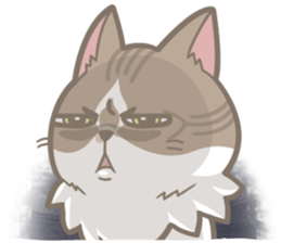 Shih Chien Big Cat sticker #11891528