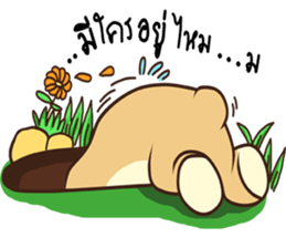 my dear kuma sticker #11891555