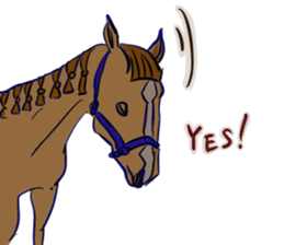 Horse and horseback riding sticker #11892511