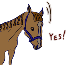 Horse and horseback riding sticker #11892511