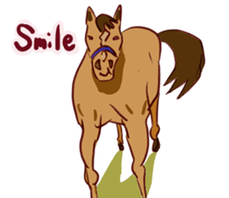 Horse and horseback riding sticker #11892519
