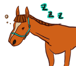 Horse and horseback riding sticker #11892522
