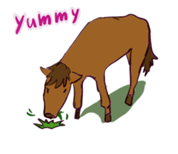 Horse and horseback riding sticker #11892535