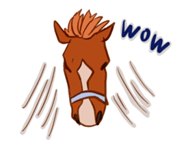 Horse and horseback riding sticker #11892537