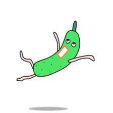 Sticker to be sent to the Kawasaki(world sticker #11894205