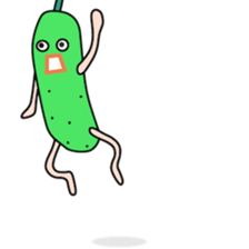 Sticker to be sent the Kawasaki2(world sticker #11895021