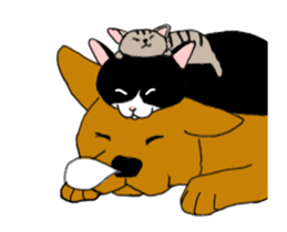 Animated Hachi and Coro with a newcomer sticker #11895209