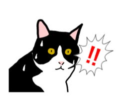 Animated Hachi and Coro with a newcomer sticker #11895218