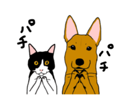 Animated Hachi and Coro with a newcomer sticker #11895223